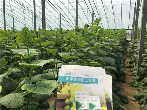 水溶肥，拉姆拉