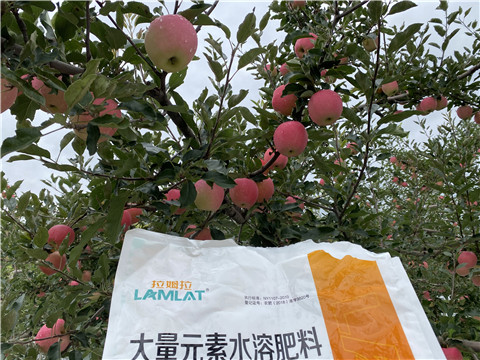 進(jìn)口水溶肥品牌，拉姆拉，翠姆