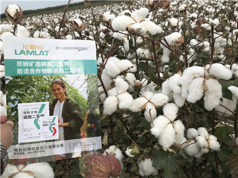 進(jìn)口水溶肥，翠姆，拉姆拉