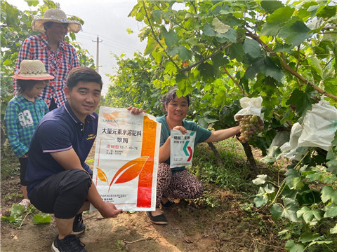 進(jìn)口水溶肥，拉姆拉