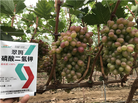 進(jìn)口水溶肥，拉姆拉