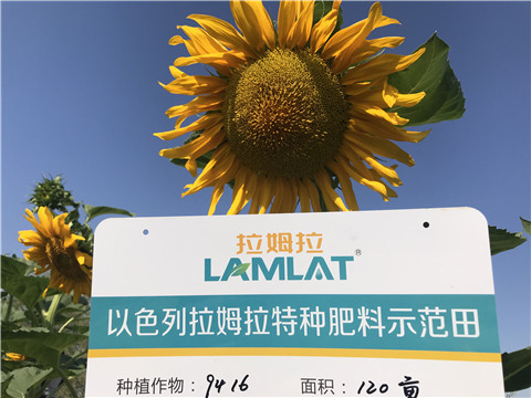 進(jìn)口水溶肥，拉姆拉