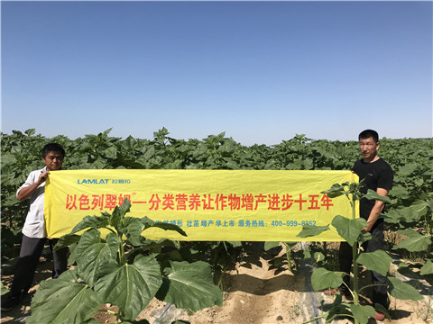 進(jìn)口水溶肥，拉姆拉