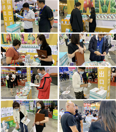 植保會，拉姆拉，翠姆