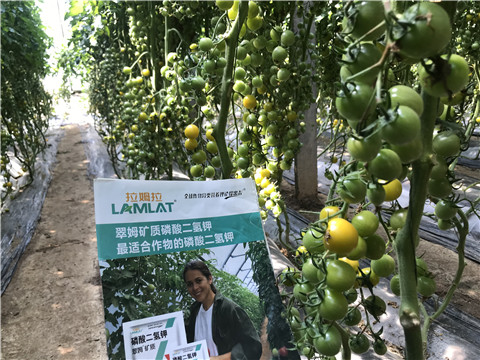 微生物菌劑，磷酸二氫鉀，翠姆，拉姆拉