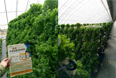 水溶肥，拉姆拉，翠姆