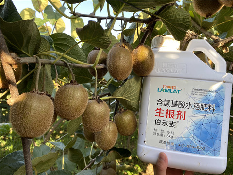 水溶肥，拉姆拉