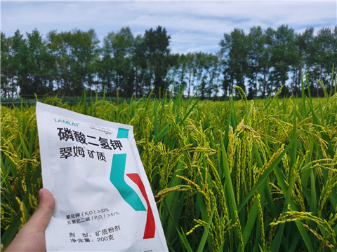 磷酸二氫鉀，拉姆拉，翠姆