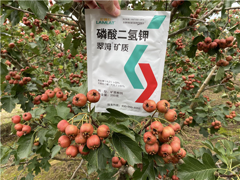 磷酸二氫鉀，拉姆拉，翠姆