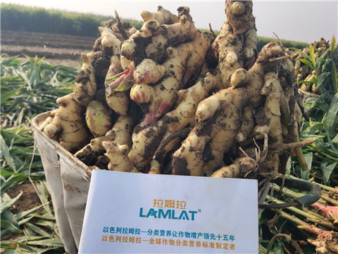 進(jìn)口水溶肥，翠姆，拉姆拉