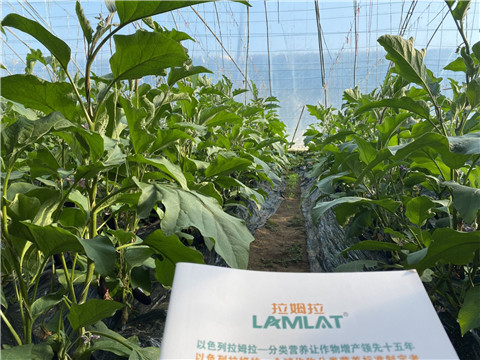 進(jìn)口水溶肥，翠姆，拉姆拉