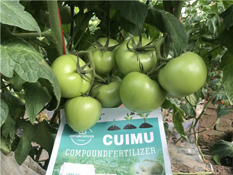 葉面肥，磷酸二氫鉀，微生物菌劑，翠姆，拉姆拉