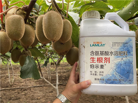 水溶肥，生根劑，微生物菌劑，伯示麥，拉姆拉