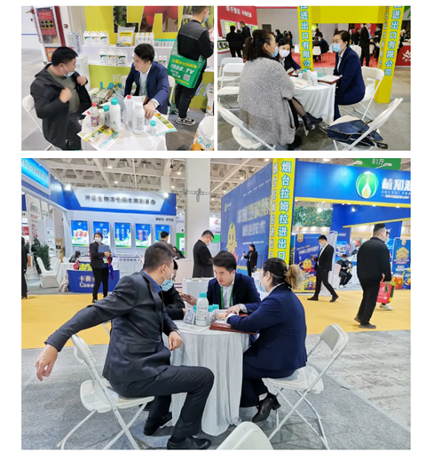 水溶肥，拉姆拉，翠姆