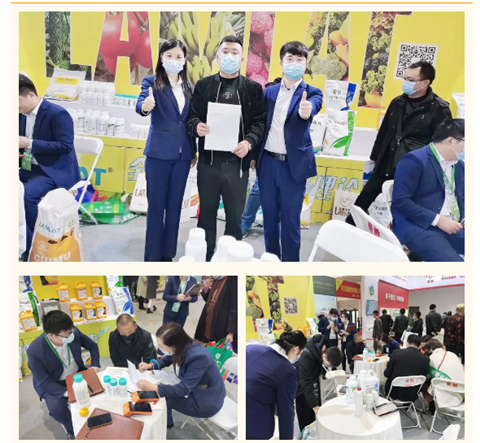 水溶肥，拉姆拉，翠姆