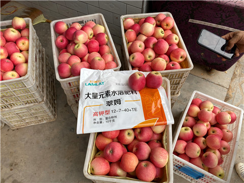 水溶肥，大量元素水溶肥，翠姆，拉姆拉