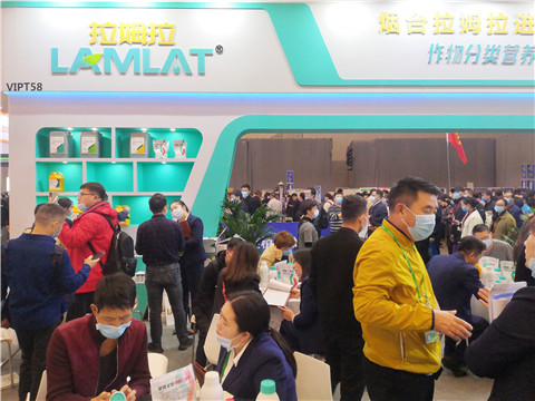 進口水溶肥，拉姆拉，翠姆