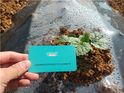 水溶肥，拉姆拉