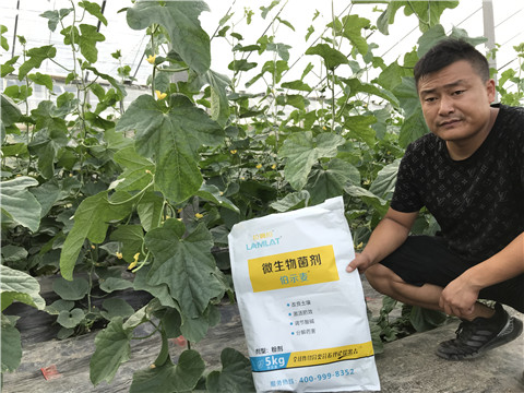 水溶肥，拉姆拉