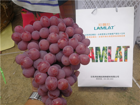 葉面肥，磷酸二氫鉀，鈣肥，翠姆，拉姆拉