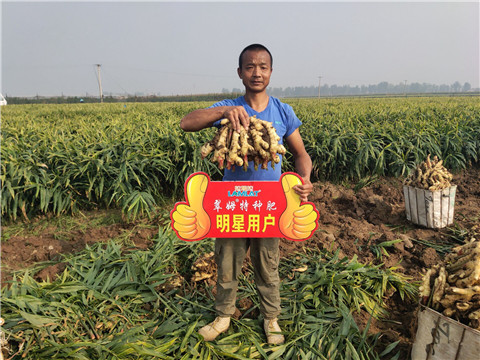 進口水溶肥，拉姆拉，翠姆