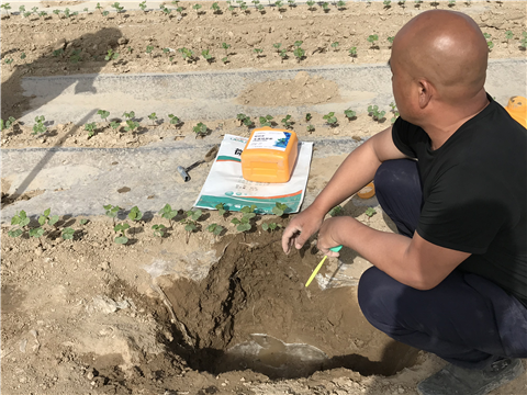 水溶肥，拉姆拉，翠姆