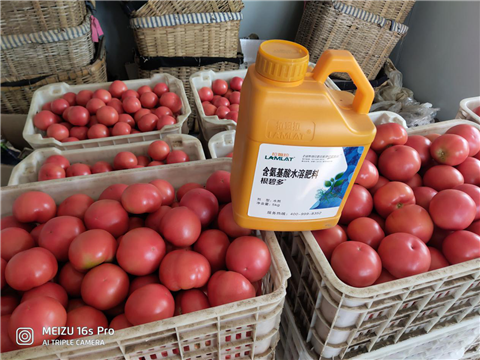 水溶肥，拉姆拉，翠姆