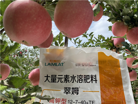 大量元素水溶肥，拉姆拉，翠姆