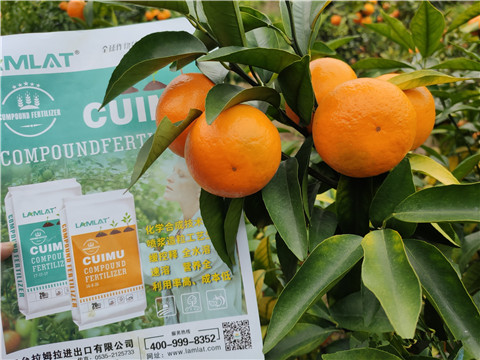 顆粒水溶肥，拉姆拉，翠姆