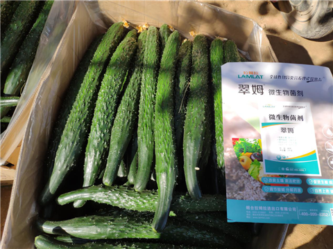 微生物菌劑，拉姆拉，翠姆