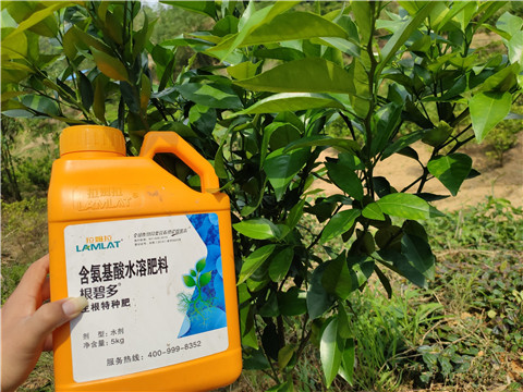 沖施肥，拉姆拉，翠姆