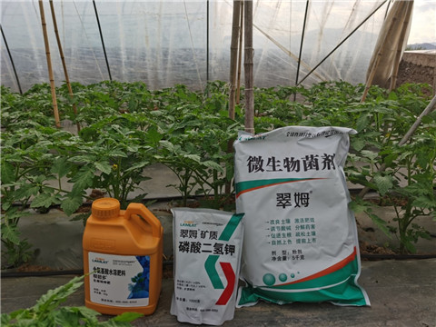 水溶肥，拉姆拉，翠姆