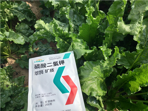 水溶肥，拉姆拉，翠姆