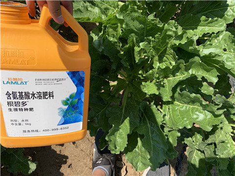 水溶肥，拉姆拉，翠姆