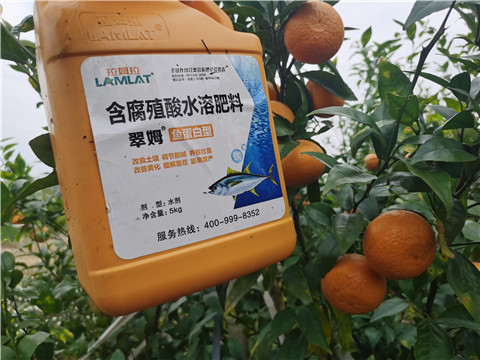 水溶肥，拉姆拉，翠姆