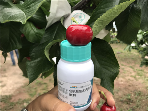 水溶肥，拉姆拉，翠姆