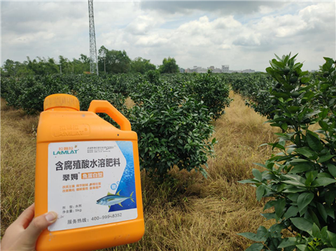 水溶肥，拉姆拉，翠姆