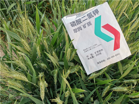 水溶肥，拉姆拉，翠姆