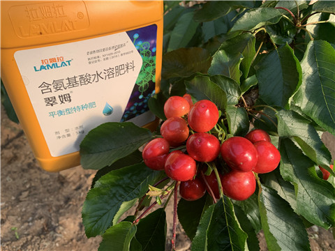 水溶肥，拉姆拉，翠姆