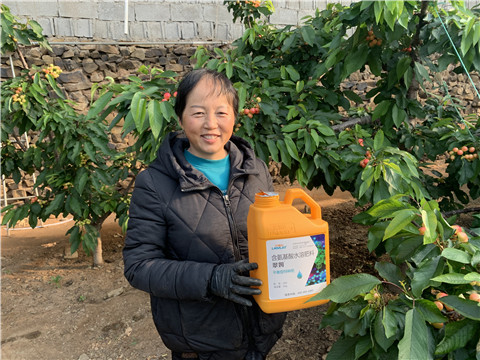 水溶肥，拉姆拉，翠姆