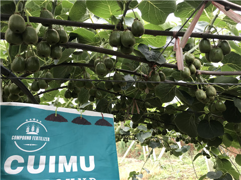 顆粒復(fù)合肥，拉姆拉，翠姆