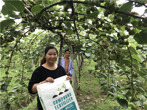 顆粒復(fù)合肥，拉姆拉，翠姆