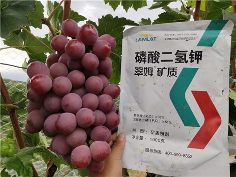 磷酸二氫鉀，拉姆拉，翠姆