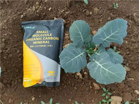 小分子有機(jī)碳，拉姆拉，翠姆