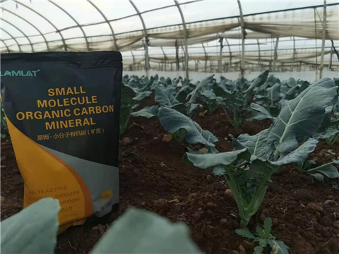 小分子有機(jī)碳，拉姆拉，翠姆