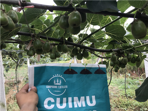 顆粒水溶肥，拉姆拉，翠姆