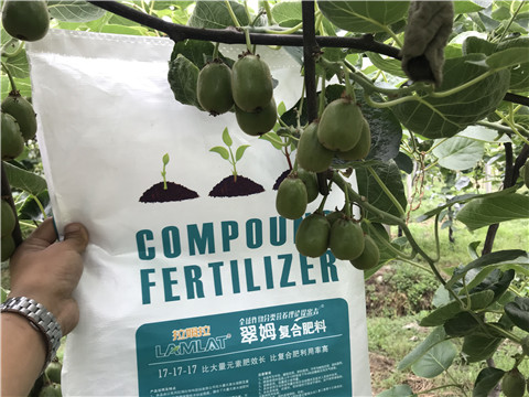 顆粒水溶肥，拉姆拉，翠姆