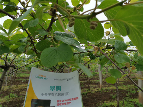 小分子有機(jī)碳，拉姆拉，翠姆