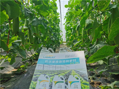 水溶肥，拉姆拉，翠姆