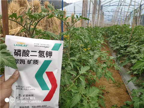 磷酸二氫鉀，拉姆拉，翠姆